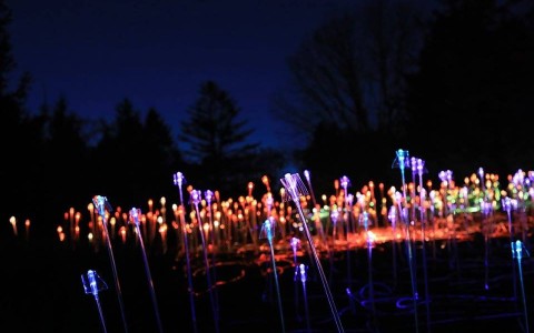 Orbes lumineuses de Bruce Munro