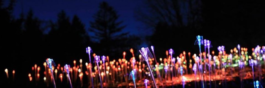 Orbes lumineuses de Bruce Munro