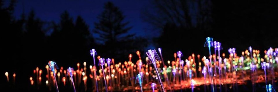 Orbes lumineuses de Bruce Munro