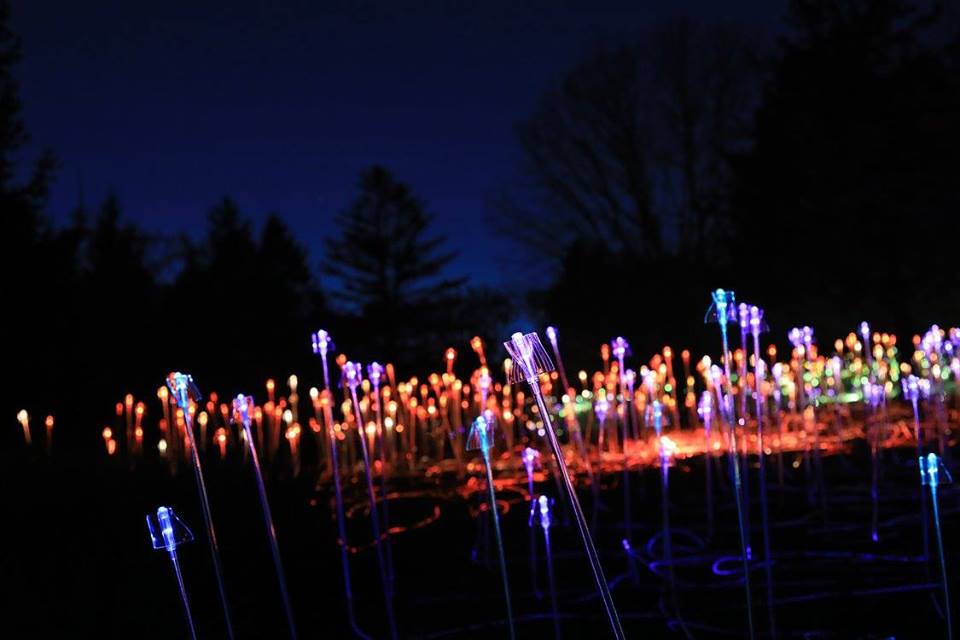 orbes lumineuses